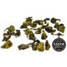  Tie Guan Yin Oolong, Premium Grade
