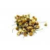 Chamomile