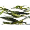 Mao Feng, Yellow Mountain Tea